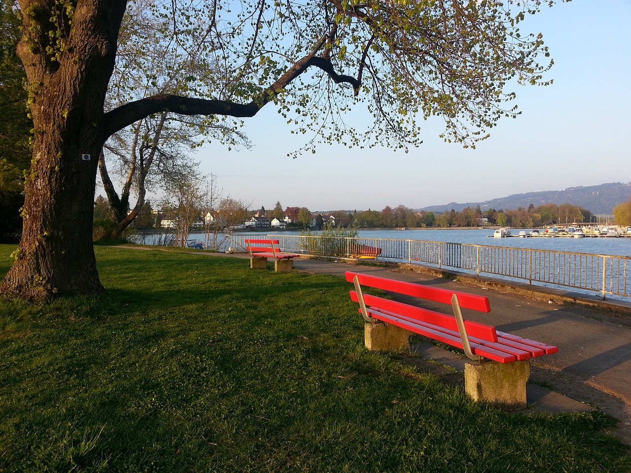 国际比赛标 国际比赛标