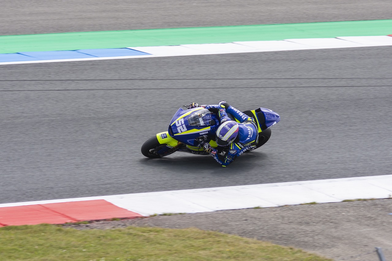 需要承担起 需要承担起