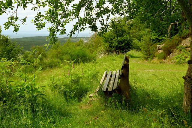 协调战术 协调战术