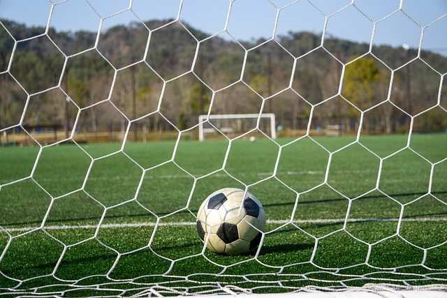 证偶像在场 证偶像在场