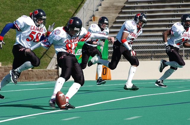 的成绩证明 的成绩证明